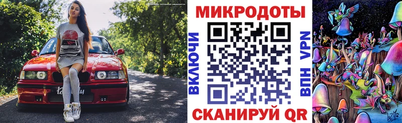 Псилоцибиновые грибы Cubensis  Сланцы 